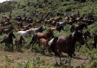 Vadlovak Galíciában